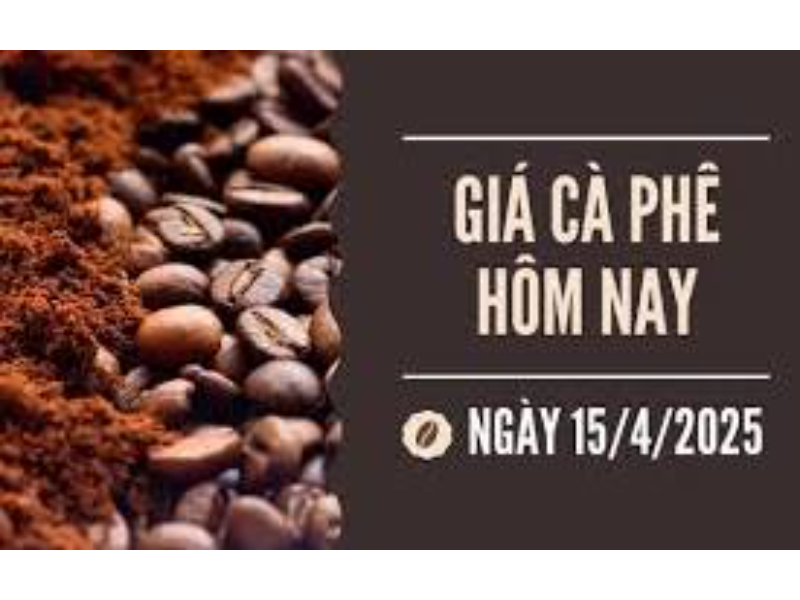 Giá cà phê hôm nay 15/4: Tiếp tục tăng mạnh, giá cà phê trong nước cán mốc 130.000 đồng/kg